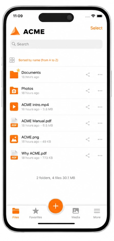 The same app published under a customer's orange ACME branding