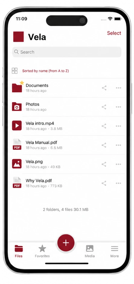 The same app published under a customer's red Vela branding